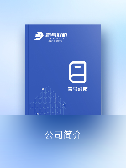 w66国际简介展板