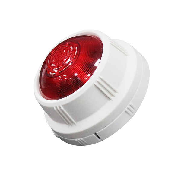 w66国际·利来(中国)最给力的老牌