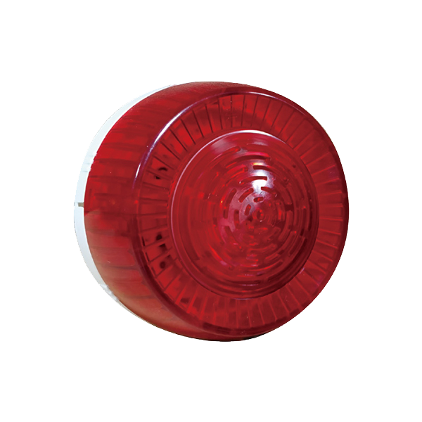 w66国际·利来(中国)最给力的老牌